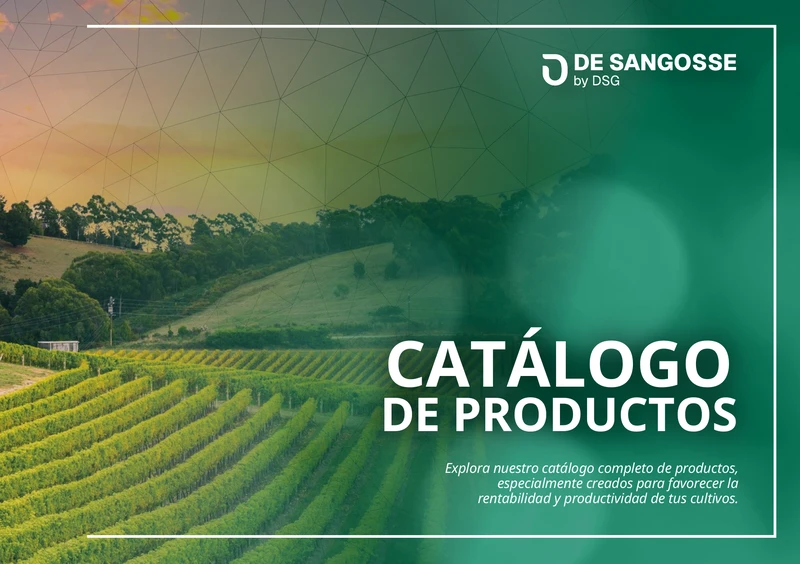 Portada del catálogo DSG Ibérica 2026