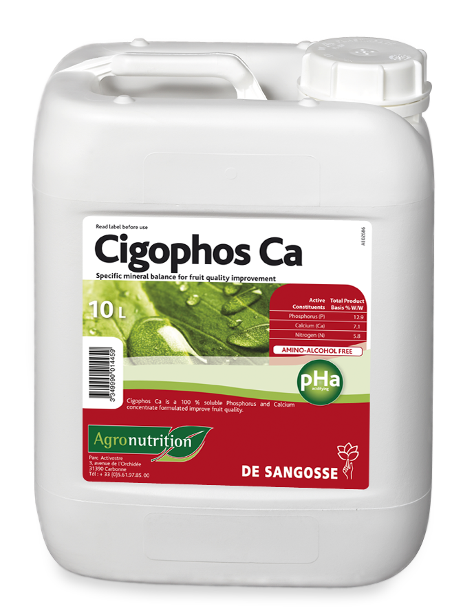 CIGOPHOS Ca